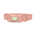 Pink Cheetah Dog Collar - plastic rose gold