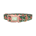 Tropical Floral Dog Collar - plastic rose gold