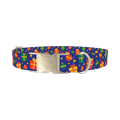 Festive Gift Dog Collar - metal silver