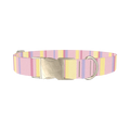 Geometric Stripe Dog Collar - metal silver