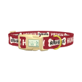 Always Hungry Dog Collar - plastic gold