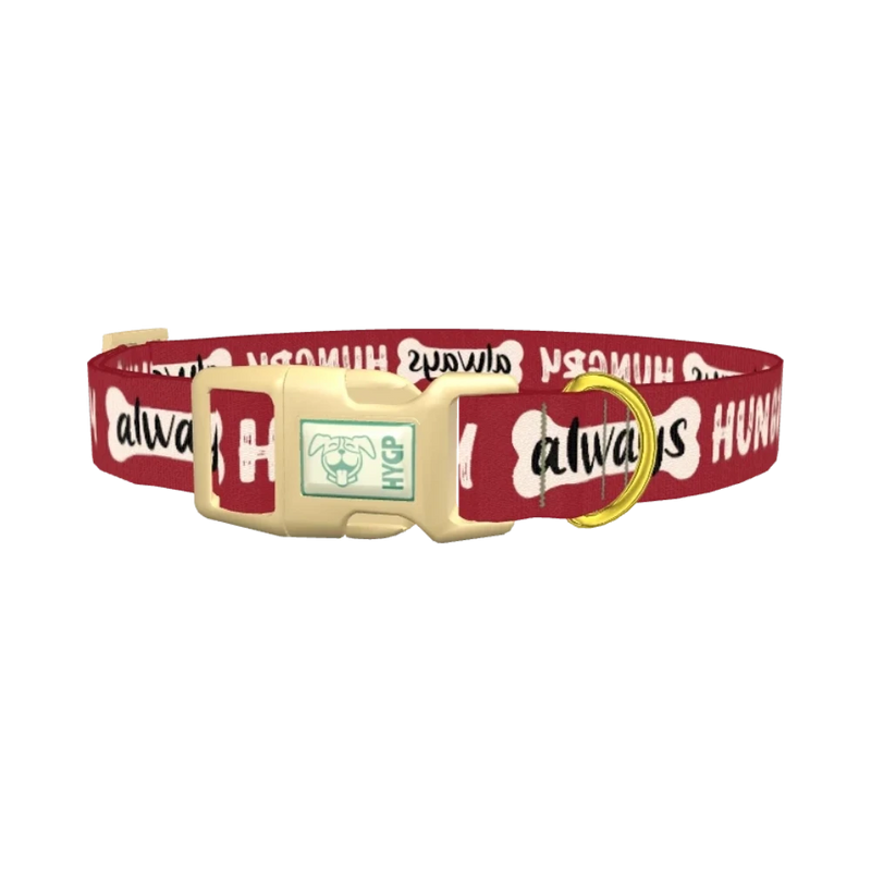Always Hungry Dog Collar - plastic gold