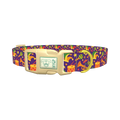 Mardi Gras Celebration Dog Collar - plastic gold