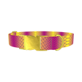 Colorful Snake Skin Dog Collar - metal gold