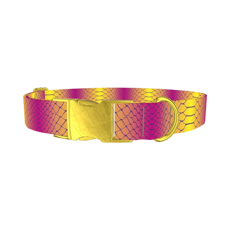 Colorful Snake Skin Dog Collar - metal gold