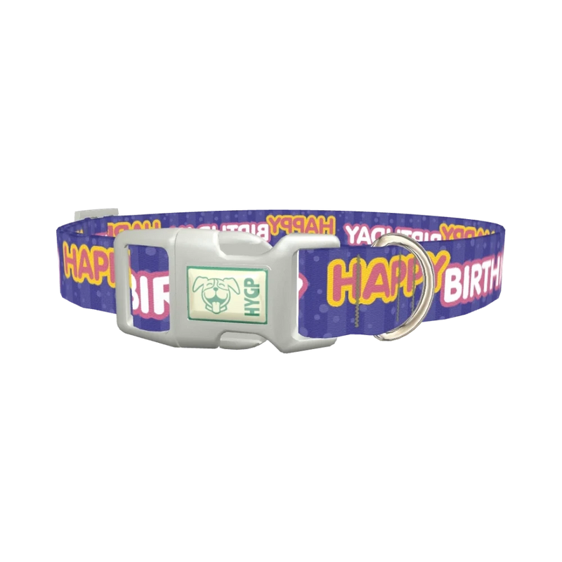 Birthday Text Dog Collar - plastic silver