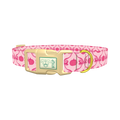 Halloween Pink Pumpkin Dog Collar - plastic gold