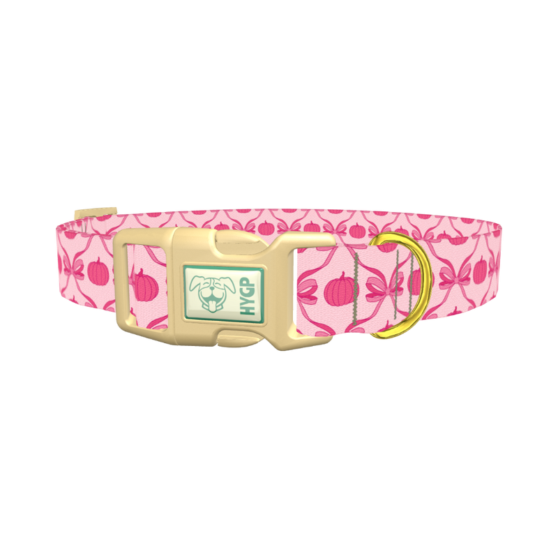 Halloween Pink Pumpkin Dog Collar - plastic gold