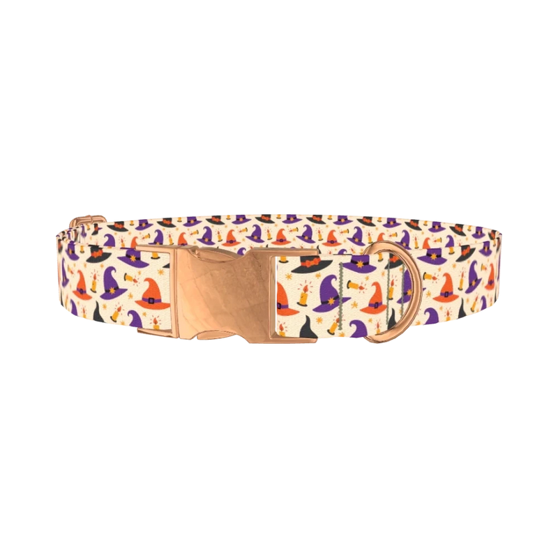 Halloween Witch Hat Dog Collar - metal rose gold