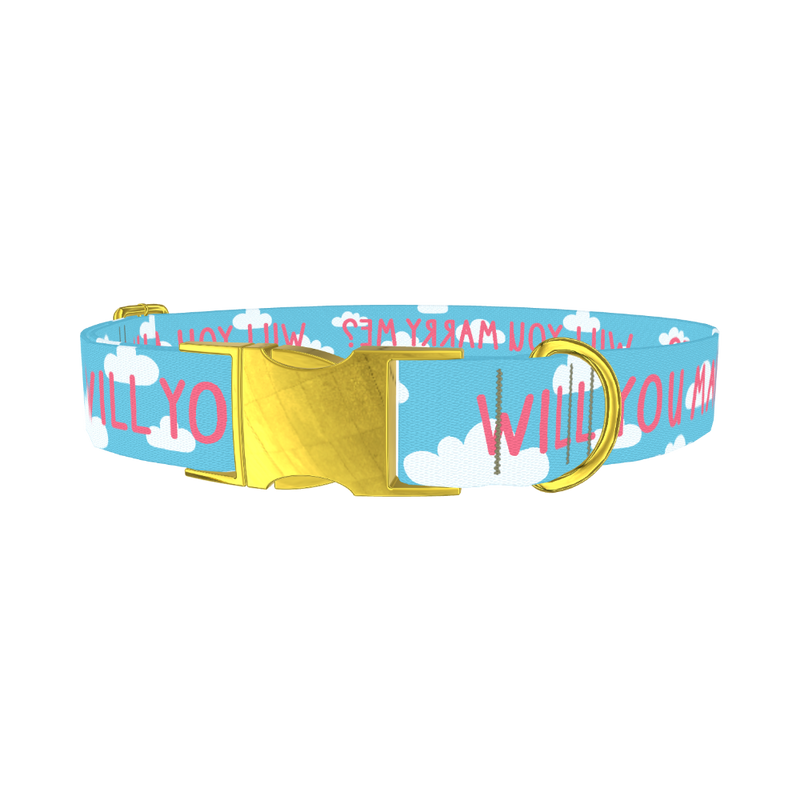 Cloud Phrase Dog Collar - metal gold