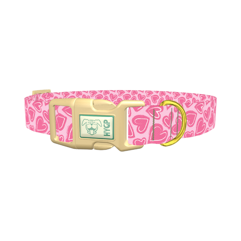 Pink Sketch Heart Dog Collar - plastic gold
