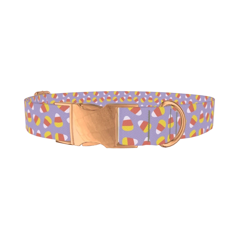Halloween Candy Dog Collar - metal rose gold