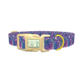 Tropical Leaf Dog Collar - plastic gold