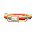 Colorful Stripe Hexagon Dog Collar - plastic rose gold