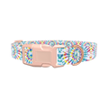 Spiral Tie-Dye Dog Collar - plastic gold