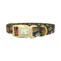 Dark Floral Bouquet Dog Collar - plastic gold