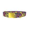 Colorful Leopard Print Dog Collar - metal gold