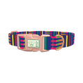 Colorful Dual Stripe Dog Collar - plastic rose gold
