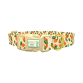 Floral Fruit Dog Collar - plastic gold