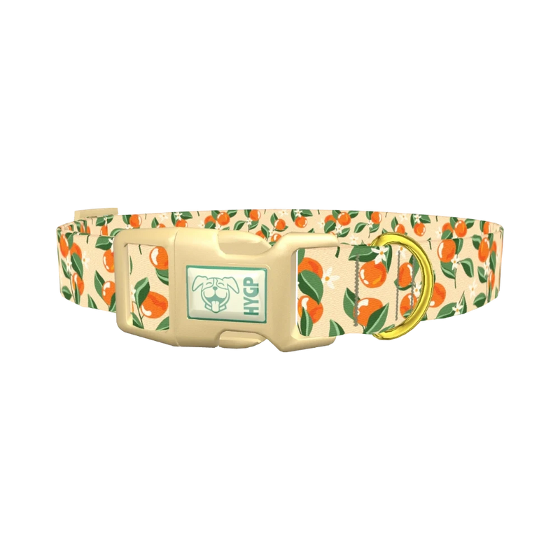 Floral Fruit Dog Collar - plastic gold