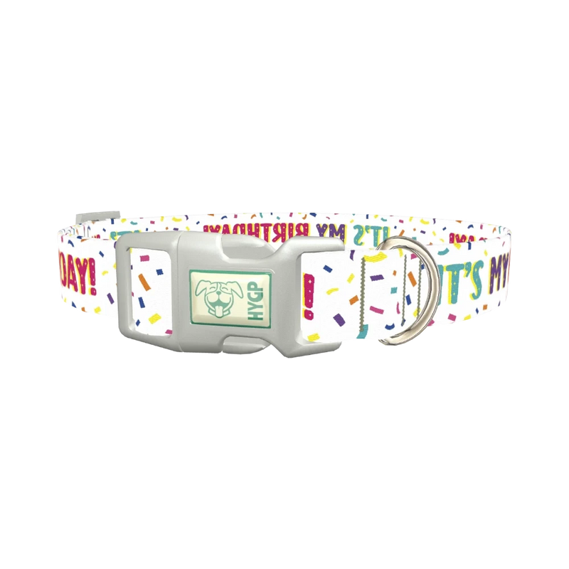 Birthday Confetti Dog Collar - plastic silver