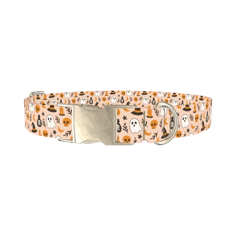 Spooky Potion Halloween Dog Collar - metal silver