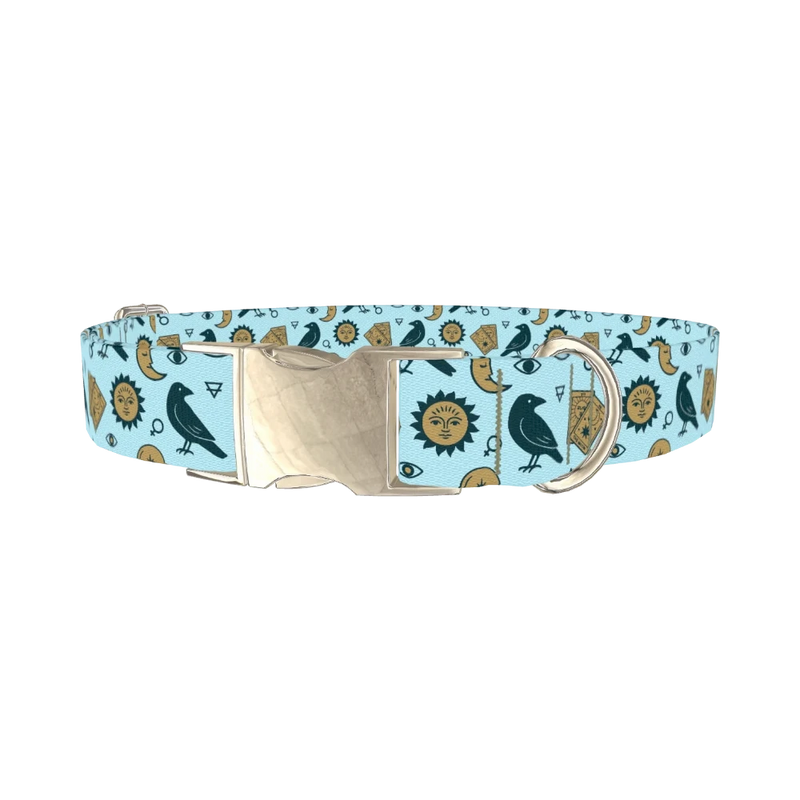 Mystical Crow Dog Collar - metal silver