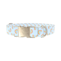 Rainbow Pattern Dog Collar - metal silver