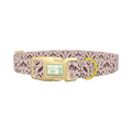 Halloween Witchy Dog Collar - plastic gold