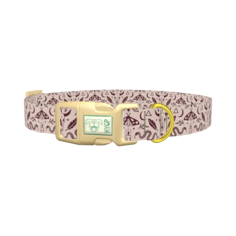 Halloween Witchy Dog Collar - plastic gold