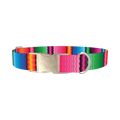 Wavy Rainbow Stripe Dog Collar - metal silver