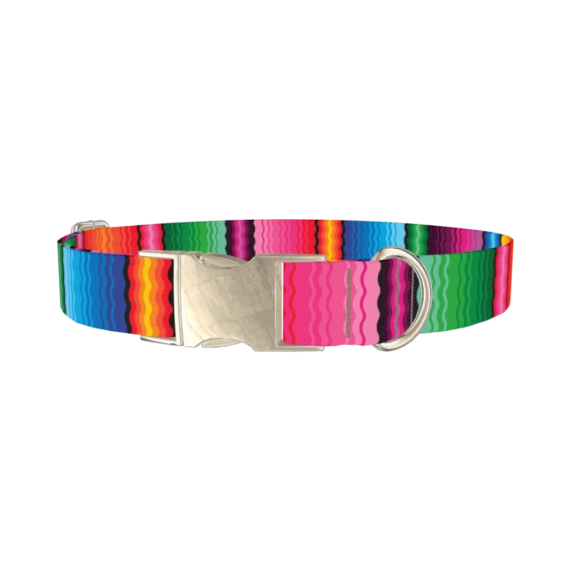 Wavy Rainbow Stripe Dog Collar - metal silver