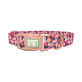 Pink Daisy Floral Dog Collar - plastic rose gold
