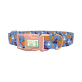 Blue Halloween Witch Hat Dog Collar - plastic rose gold
