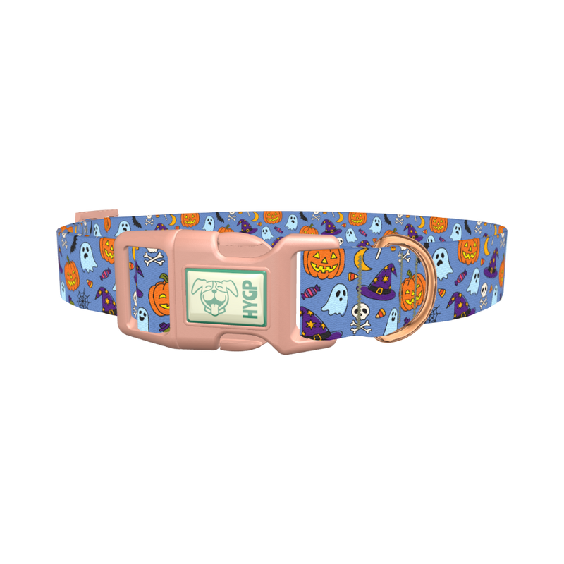 Blue Halloween Witch Hat Dog Collar - plastic rose gold