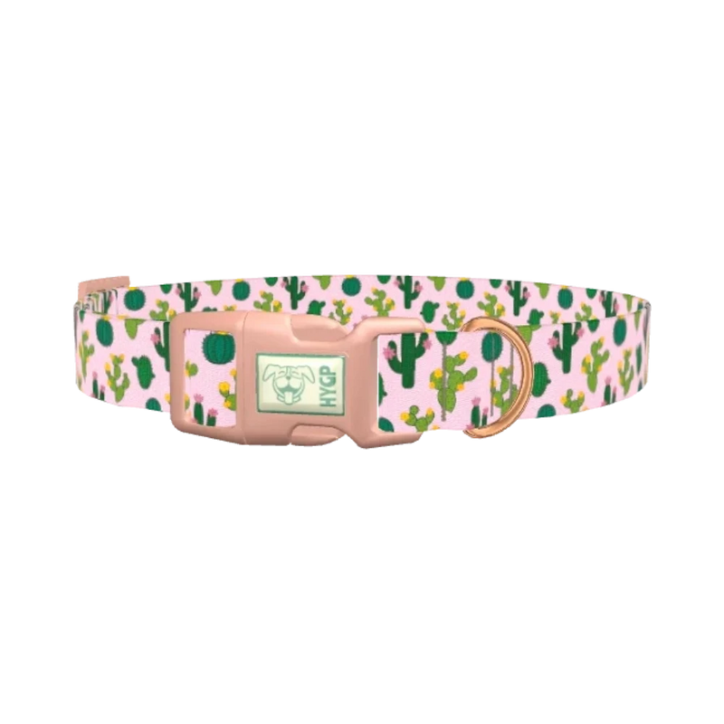Floral Cactus Dog Collar - plastic rose gold
