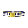 Piano Key Pattern Dog Collar - metal gold