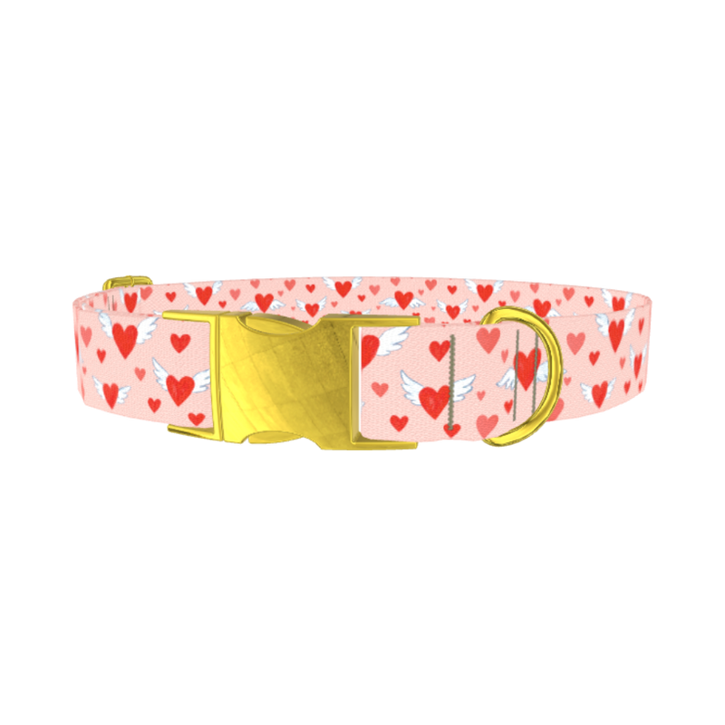 Flying Heart Dog Collar - metal gold