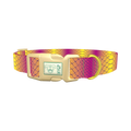 Colorful Snake Skin Dog Collar - plastic gold