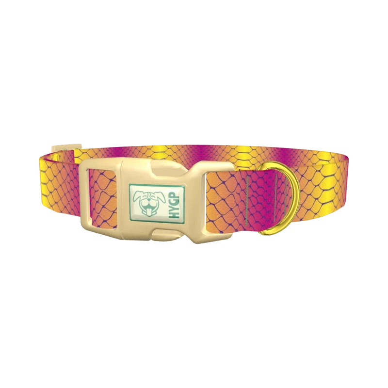 Colorful Snake Skin Dog Collar - plastic gold
