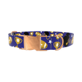 Purple Football Trophy Dog Collar - metal rose gold