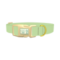  - plastic gold