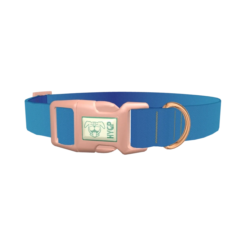 Oceanic Gradient Dog Collar - plastic rose gold