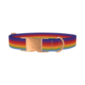 Rainbow Hexagon Dog Collar - metal rose gold