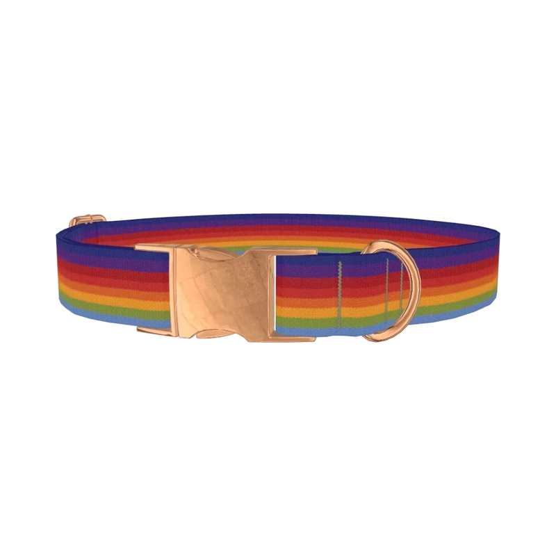 Rainbow Hexagon Dog Collar - metal rose gold