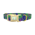 Vibrant Splatter Dog Collar - plastic gold