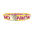 Gradient Musical Note Dog Collar - metal silver