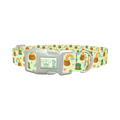 St. Patrick's Day Dog Collar - plastic silver