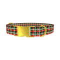Festive Plaid Dog Collar - metal gold