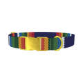 Woven Rainbow Stripe Dog Collar - metal gold